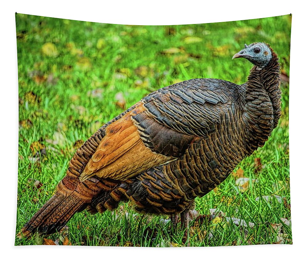 Eastern Wild Turkey Turkey Gobbler In The Falling Snow Tapestry Pillow New